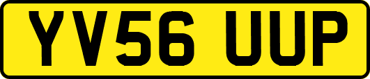 YV56UUP