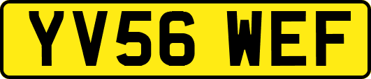 YV56WEF