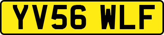 YV56WLF