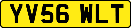 YV56WLT
