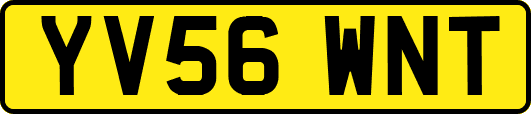 YV56WNT