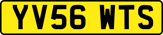 YV56WTS