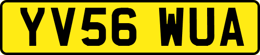 YV56WUA