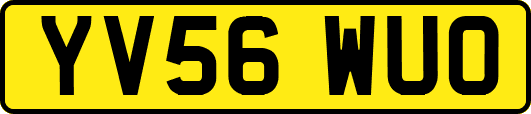 YV56WUO