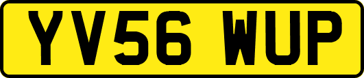 YV56WUP