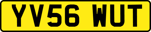 YV56WUT