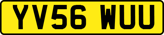 YV56WUU