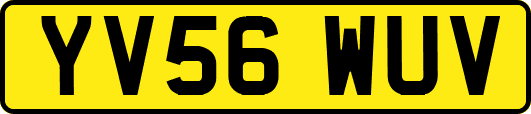 YV56WUV