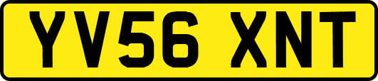 YV56XNT