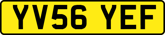 YV56YEF