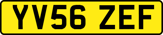 YV56ZEF