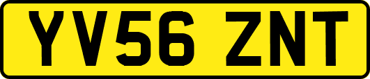 YV56ZNT