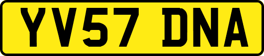 YV57DNA