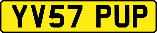 YV57PUP