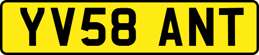 YV58ANT