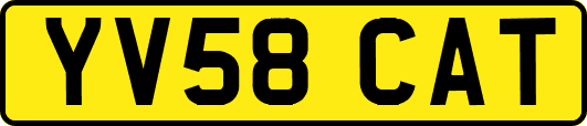 YV58CAT