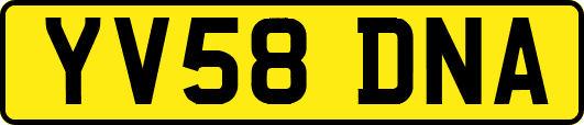 YV58DNA
