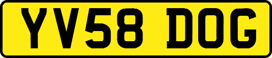 YV58DOG