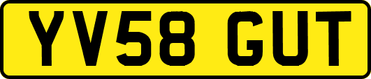 YV58GUT