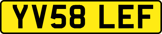 YV58LEF
