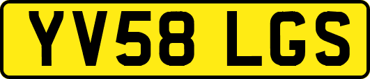 YV58LGS
