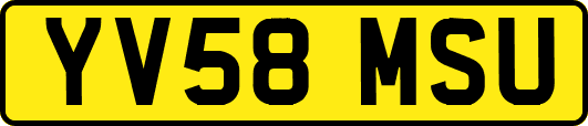 YV58MSU