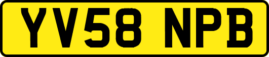 YV58NPB