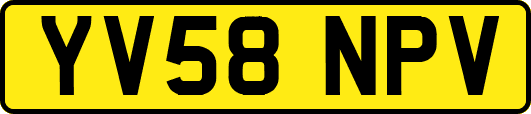 YV58NPV