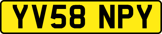 YV58NPY