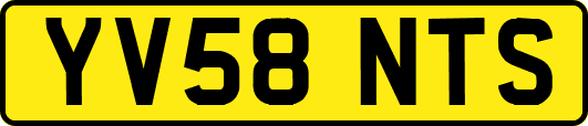 YV58NTS