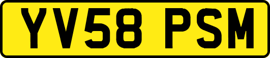 YV58PSM
