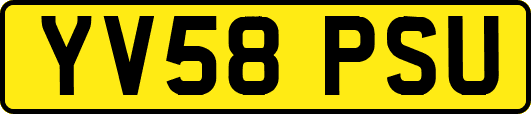 YV58PSU