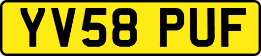 YV58PUF