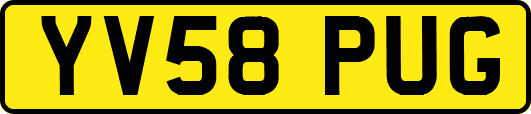 YV58PUG