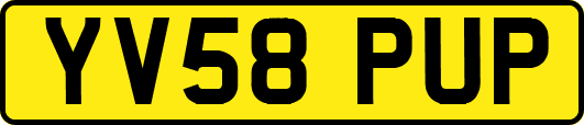 YV58PUP