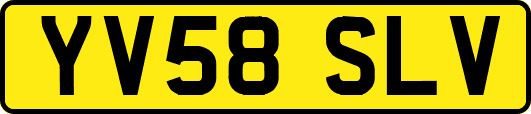 YV58SLV