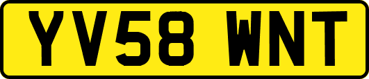 YV58WNT