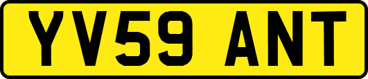 YV59ANT