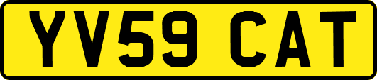 YV59CAT