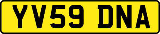 YV59DNA