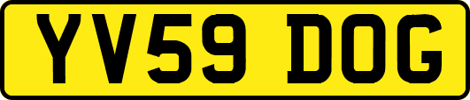 YV59DOG