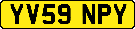 YV59NPY