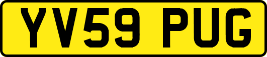 YV59PUG