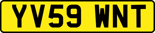 YV59WNT