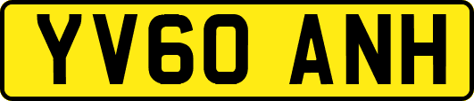 YV60ANH