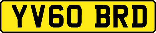 YV60BRD