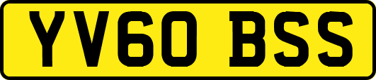 YV60BSS