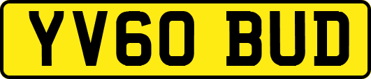 YV60BUD