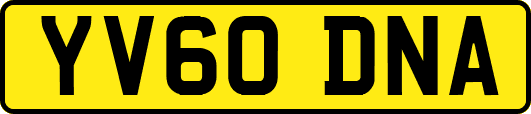 YV60DNA