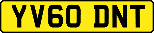 YV60DNT